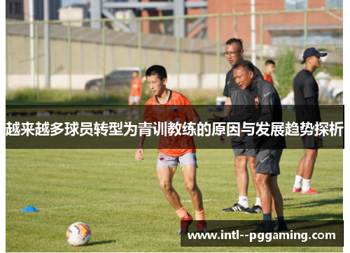 越来越多球员转型为青训教练的原因与发展趋势探析