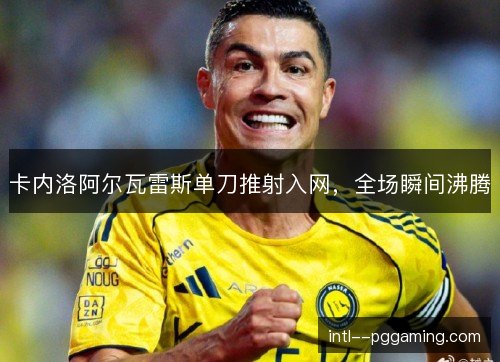 卡内洛阿尔瓦雷斯单刀推射入网，全场瞬间沸腾