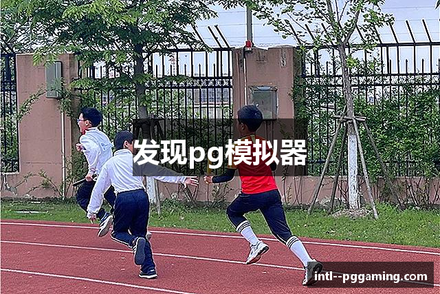 发现pg模拟器